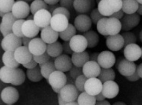 单分散磁性二氧化硅微球的吸附原理和使用注意事项 Monodisperse magnetic silica microspheres