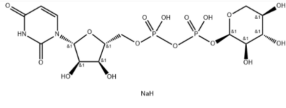 1650856814976190.png udp木糖|cas:108320-89-4|UDP-a-D-Xylosedisodium|尿苷二磷酸木糖