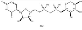 udp木糖|cas:108320-89-4|UDP-a-D-Xylosedisodium|尿苷二磷酸木糖