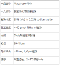 氨基琼脂糖磁珠|氨基活化琼脂糖磁珠|氨基琼脂糖微球|Magarose-NH2