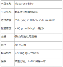 1650865550165291.png 氨基琼脂糖磁珠|氨基活化琼脂糖磁珠|氨基琼脂糖微球|Magarose-NH2