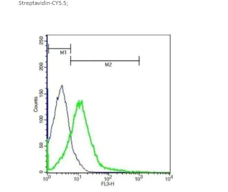 Cy5.5-Avidin Cy5.5标记亲和素 ;Avidin-cy5.5;Cy5.5 Conjugated Avidin;CY菁染料标记亲和素Avidin-CY5.5;Avidin (Cy5.5)