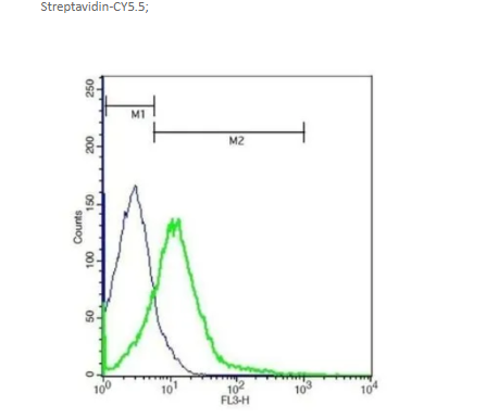 Cy5.5标记亲和素 ;Avidin-cy5.5;Cy5.5 Conjugated Avidin;CY菁染料标记亲和素Avidin-CY5.5;Avidin (Cy5.5)