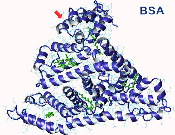 Cy5标记牛血清白蛋白(BSA-Cy5)；BSA-Cyhaiine 5 Conjugate；Cy5修饰牛血清白蛋白(BSA-Cy5)