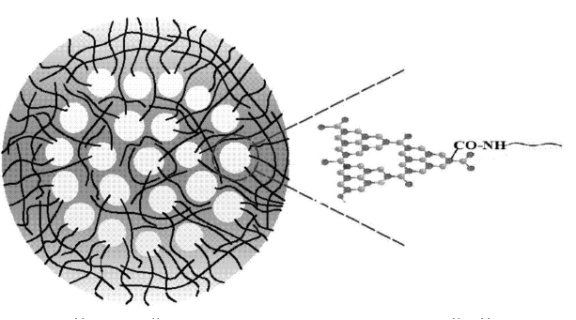PEG/g-C3N4量子点复合荧光纳米微球(g-cnqds-peg)的制备方法|PEG修饰氮化碳量子点