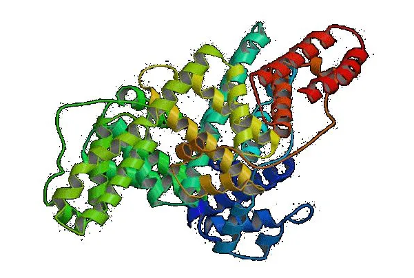 转铁蛋白修饰的载基因前阳离子脂质体的制备方法