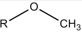 Mpeg-TAT 甲氧基-聚乙二醇-多肽