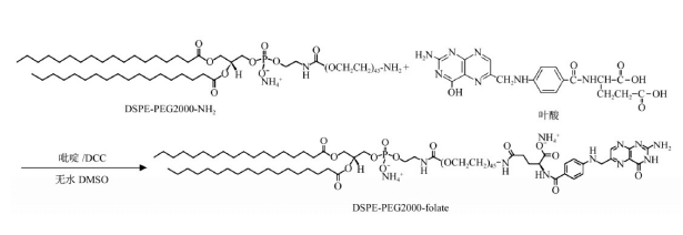 DSPE-PEG2000-Folate的一种合成方法 （附结构图）