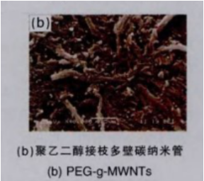 多壁碳纳米管-聚乙二醇(PEG-g-MWNTs)的制备方法