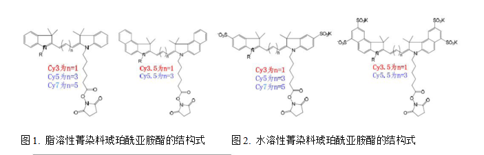 菁染料Cy3 和Cy5-NHS琥珀酰亚胺酯的激发和发射波长光谱图