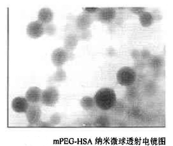 mPEG-HSA纳米微球的制备方法