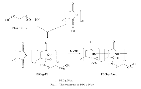 聚乙二醇接枝聚天冬氨酸( PEG-g-PAsp) 制备方法