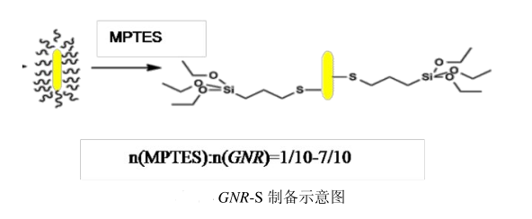 硅氧烷金纳米棒（GNR-S）的制备方法