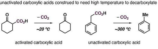 13C同位素标记脂肪酸可逆脱羧/羧化反应的探索