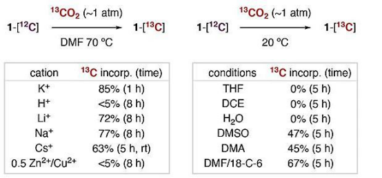 13C同位素标记脂肪酸可逆脱羧/羧化反应的探索