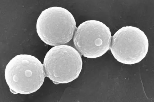 纳米级二氧化硅微球的制备方法(气象法和液相法）