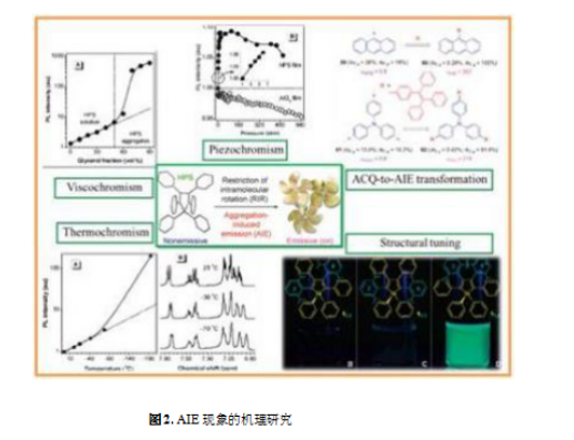 聚集诱导发光荧光探针AIE的发光机理介绍