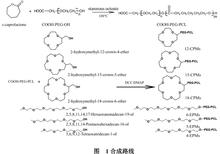 冠醚-聚乙二醇-聚己内酯胶束 (CPMs)的制备方法