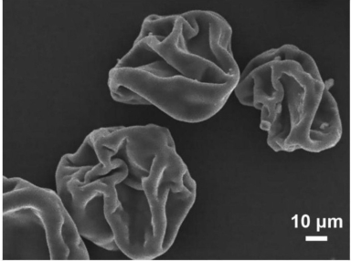环糊精-金属有机骨架材料(CD-MOFs)复合微球的制备方法