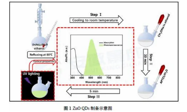 室温氧化锌ZnO量子点的制备过程及结构和光学性质表征