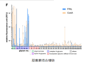 扁豆凝集素填料LCA/LcH Lens culinaris lectin的应用