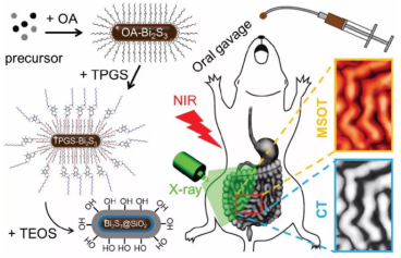 Bi2S3-SiO2 NRs/二氧化硅涂层硫化铋纳米棒多模态显影剂可用于胃肠道GI成像技术