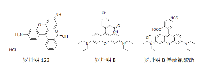 1619090084784011.png 荧光染料简介及分类(罗丹明,荧光素,香豆素,多环芳烃类,NBD-胺类,萘酰亚胺类及衍生物,BODIPY类,菁染料类,噻嗪和噁嗪类)