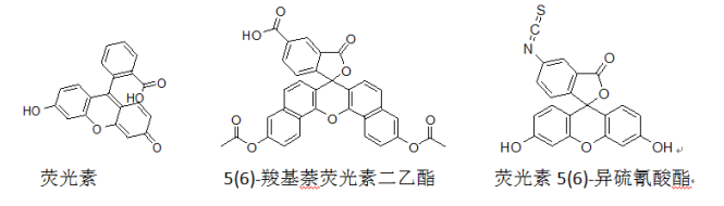1619090076932415.png 荧光染料简介及分类(罗丹明,荧光素,香豆素,多环芳烃类,NBD-胺类,萘酰亚胺类及衍生物,BODIPY类,菁染料类,噻嗪和噁嗪类)