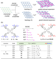 多位点四苯乙烯基双功能单体1和2分别于不同尺寸二硫醇连接子晶态拓扑共价交联策略（图解）