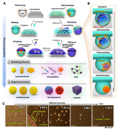 单分散二氧化硅纳米颗粒组装成微球超结构典型SEM图
