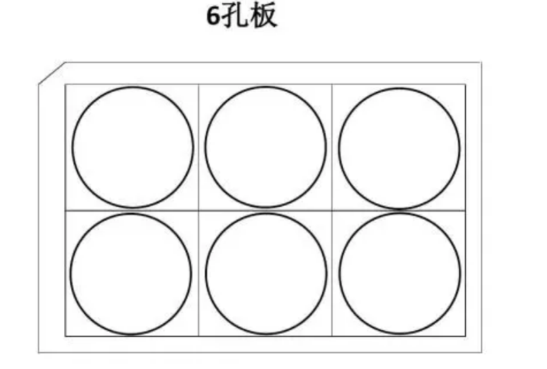 Corning/康宁-超低吸附6孔细胞培养板,型号:3471