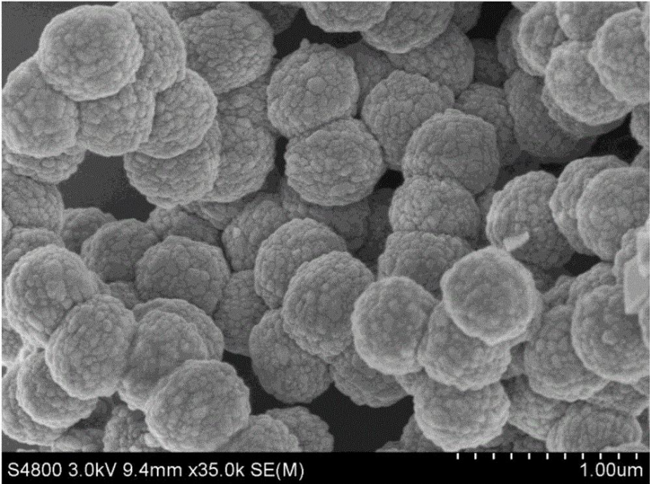 空心球状磷酸铋铕纳米颗粒的制备方法