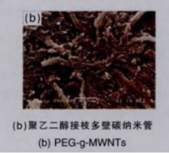 聚乙二醇修饰多壁碳纳米管(PEG-g-MWCNTs)的制备路线