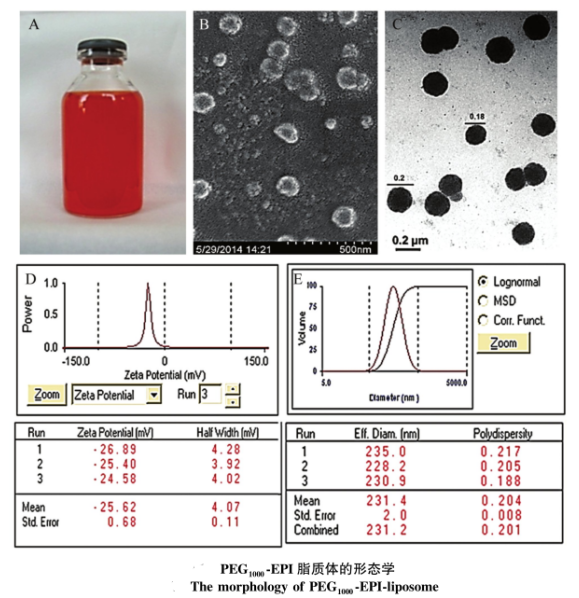 聚乙二醇包裹表阿霉素(PEG-EPI)脂质体的制备方法