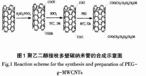 聚乙二醇修饰多壁碳纳米管(PEG-g-MWCNTs)