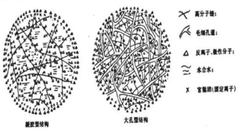 阐述离子交换树脂的三大内部结构(高分子骨、离子交换基团、孔)