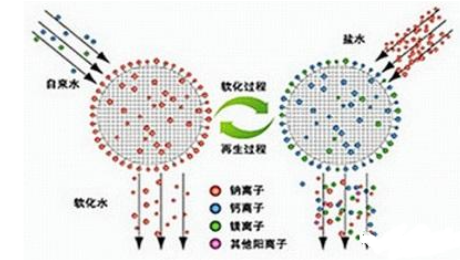 七大类离子交换树脂介绍及其命名方式(附形态图)