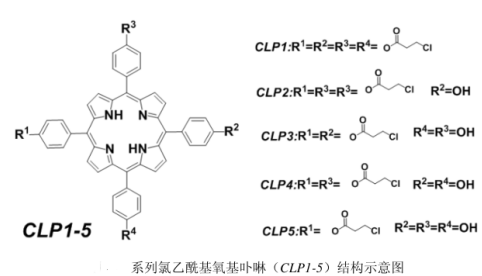 氯乙酰基氧基卟啉(CLP1-5)的制备方法(含结构及表征图谱)