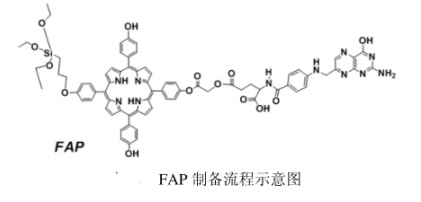 靶向卟啉分子-叶酸卟啉（FAP）化合物