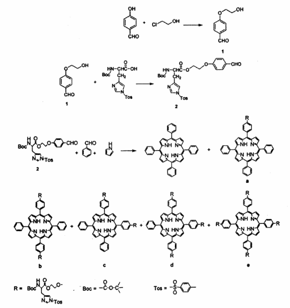 组氨酸修饰卟啉类化合物的探讨(含制备方法)