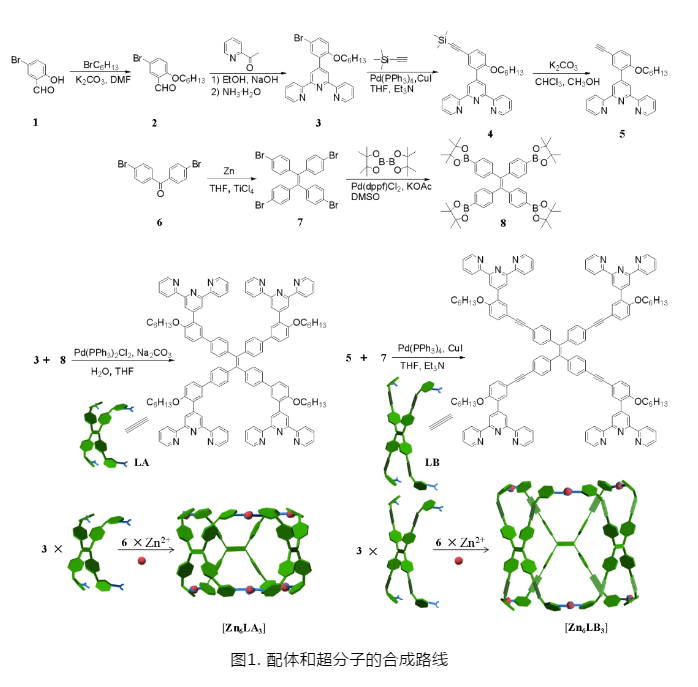 四苯乙烯TPE单元的三联吡啶配位超分子笼[Zn6LA3]和[Zn6LB3]