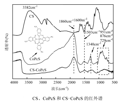 壳聚糖负载磺化酞菁钴CS-CoPcS(含制备方法及红外光谱图)