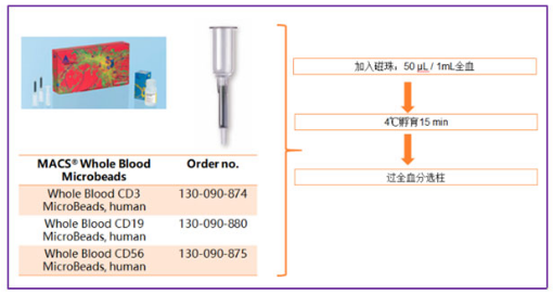 1611888430899192.png 不同磁珠区别及其细胞磁珠分选策略(含供应产品列表)