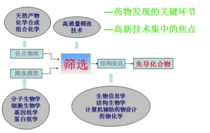 药物筛选服务流程-