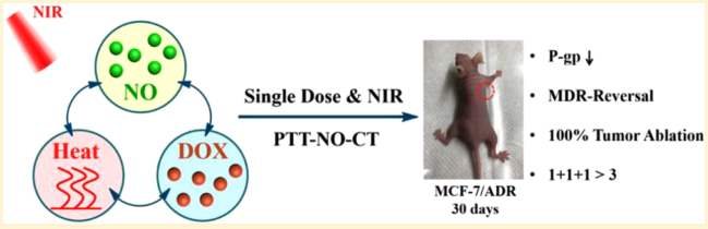 介绍一种响应近红外光的多肽纳米复合材料PNOC-PDA