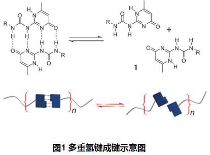 一分钟了解超分子聚合物的聚合原理(含上百种定制产品)