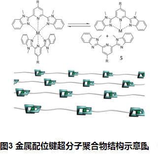 一分钟了解超分子聚合物的聚合原理(含上百种定制产品)