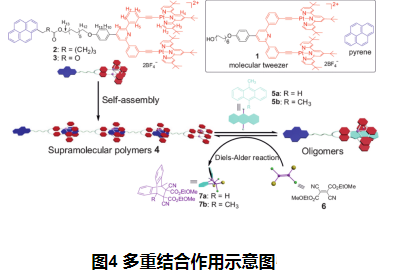 一分钟了解超分子聚合物的聚合原理(含上百种定制产品)