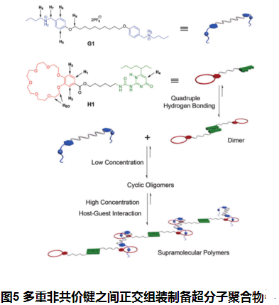 一分钟了解超分子聚合物的聚合原理(含上百种定制产品)