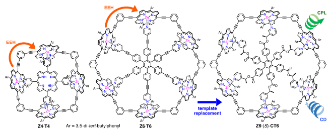 六聚体和四聚体卟啉纳米环Z6·T6和Z4·T4的合成及研究